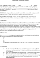 Employment Agreement 2 form