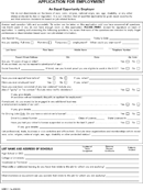 Blank Job Application 2 form