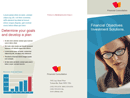 Professional Services Marketing Brochure (Tri-Fold) form