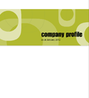 Eco Options Company Profile Sample form