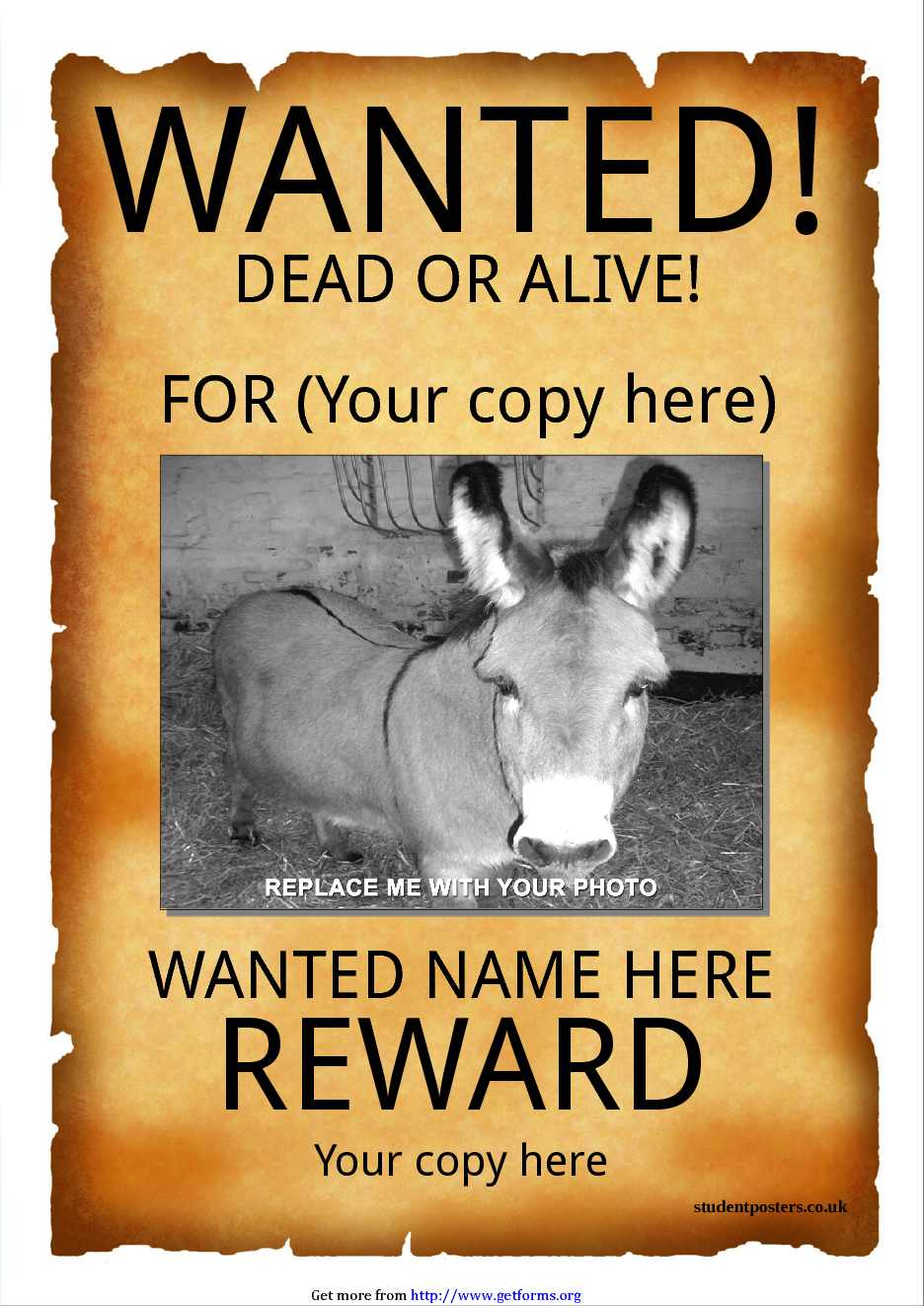 Wanted Poster Template 1