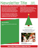 Christmas Newsletter 3 form