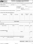 Business Financial Statement Form 3 form