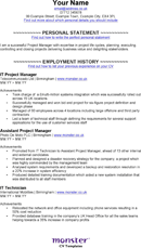 IT - Project Manager CV Template form