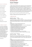 Project Manager CV Example form