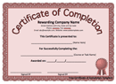 Certificate of Completion Template 3 form