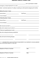 Emergency Medical Consent Form form