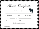 Birth Certificate Template 2 form