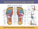 Foot Reflexology Chart form
