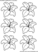Flower Template of Lilies form