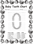 Baby Teeth Chart 2 form