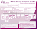 18 Month Well Baby Developmental Flow Chart form