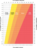 Adult Height Weight Chart form