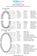 Tooth Eruption Chart form