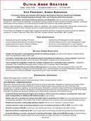 Executive Resume Sample For HR VP form