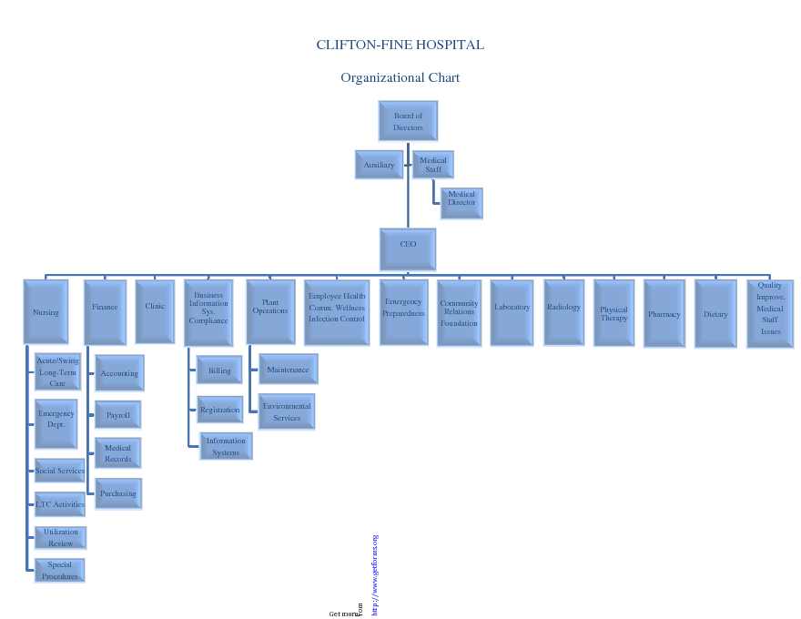Hospital Organizational Chart 1
