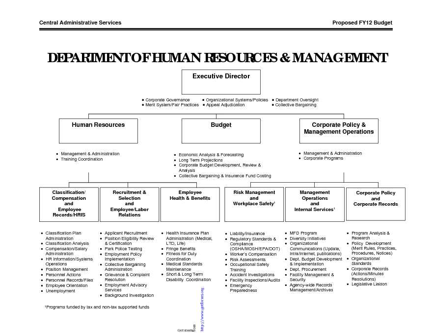 Human Resources Organizational Chart 4