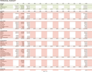 Budget Spreadsheet Excel form