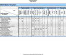 RACI Chart 3 form