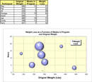 Bubble Chart Template 2 form