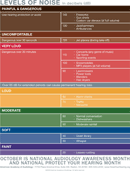 Noise Chart form