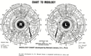 Iridology Chart 2 form