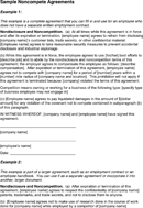 Sample Noncompete Agreements form
