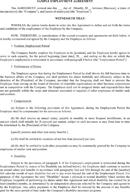 Employment Agreement 3 form