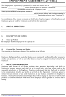 Employment Agreement Sample 2 form