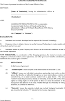 License Agreement Template 2 form