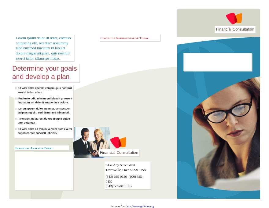 Professional Services Marketing Brochure (Tri-Fold)