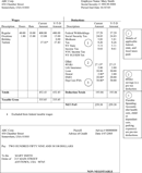 Pay Stub Template Free form