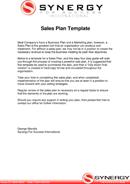 Sales Plan Template 2 form