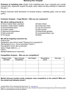 Marketing Plan Template form