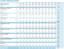 Channel Marketing Budget Template form