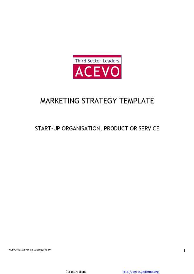 Marketing Strategy Template 3