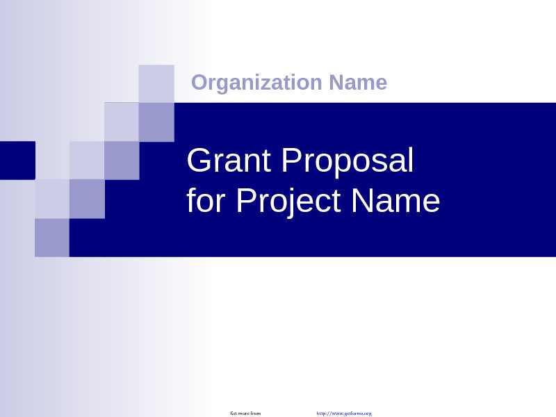 Grant Proposal Presentation Template