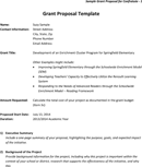 Grant Proposal Template 1 form
