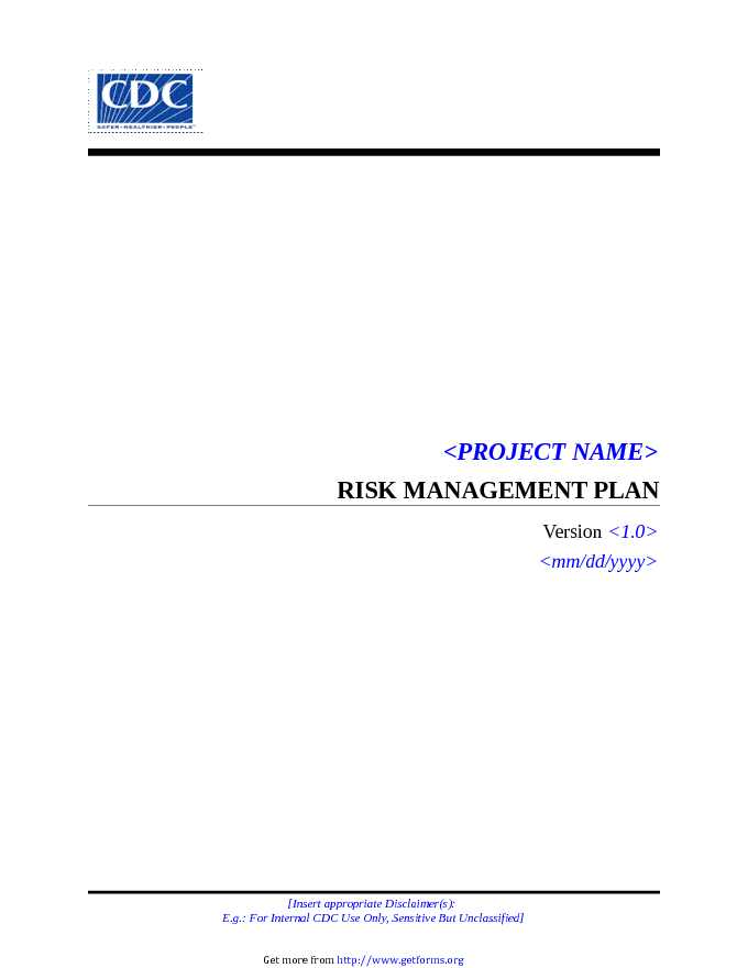 Risk Management Plan Template 1