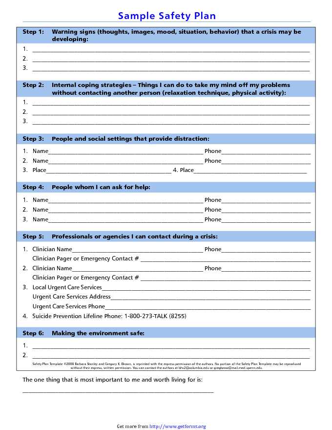 Safety Plan Template 1