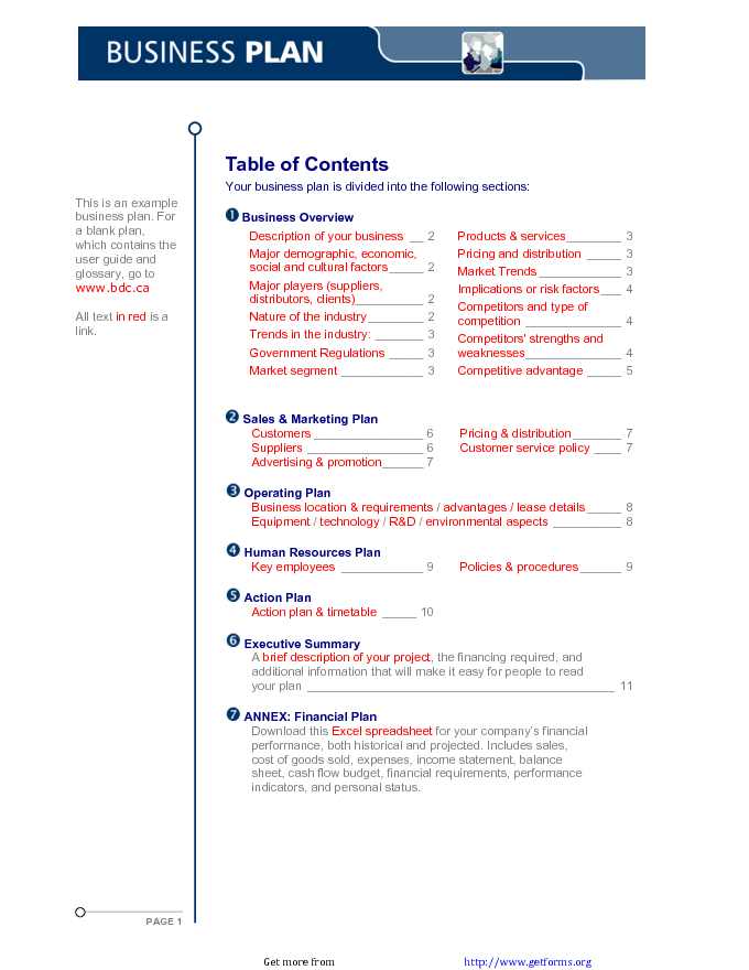 Example Business Plan