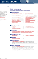 Example Business Plan form