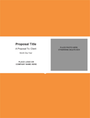 Business Proposal Template 1 form
