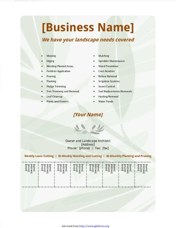 Business Flyer 3