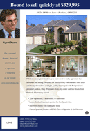 Real Estate Flyer 3 form