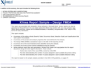 Automotive Design FMEA Example form