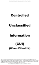 Risk Assessment and Mitigation Plan form