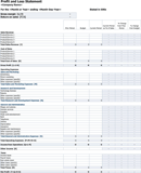 Profit and Loss Statement Form form