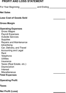 Profit and Loss Template form