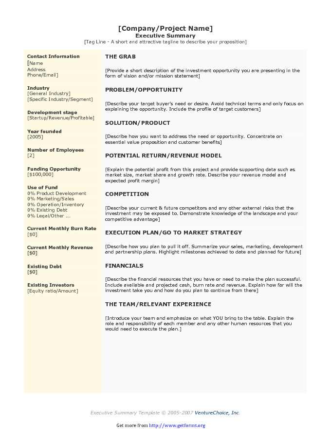 Executive Summary Template 3